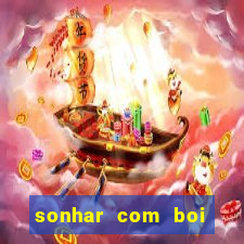 sonhar com boi jogo do bicho